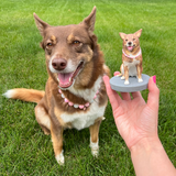 Fully Customizable 1 Animal/Pet Custom Bobbleheads With Engraved Text
